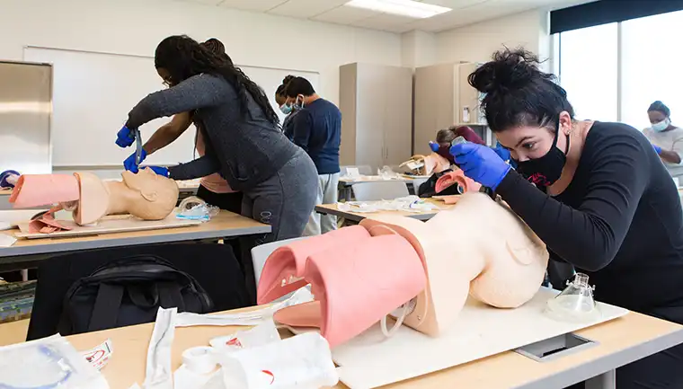 Students working in anesthesia lab