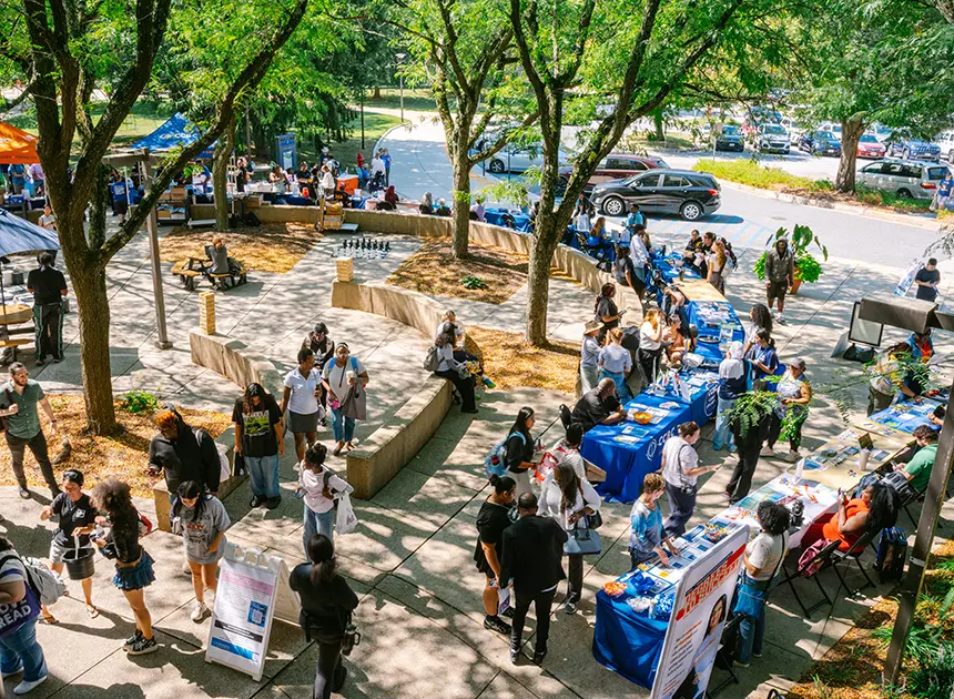 Students at Fall Connect Fest