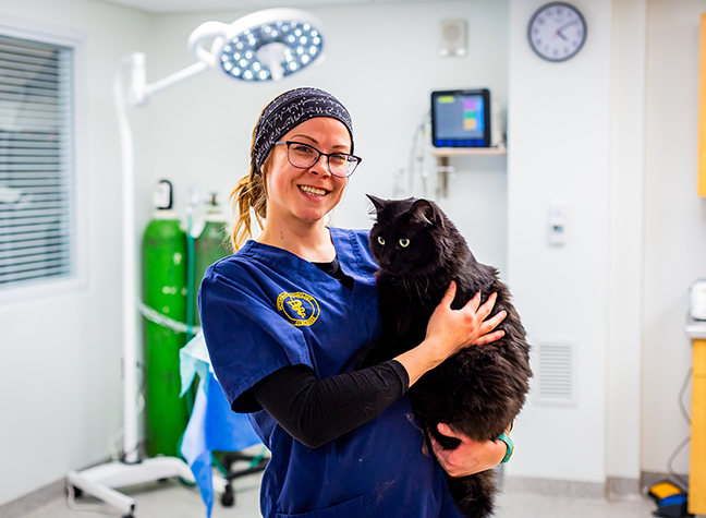 Vet tech student holding a cat