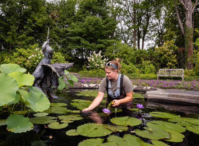 Female instructor working in pond with flowers